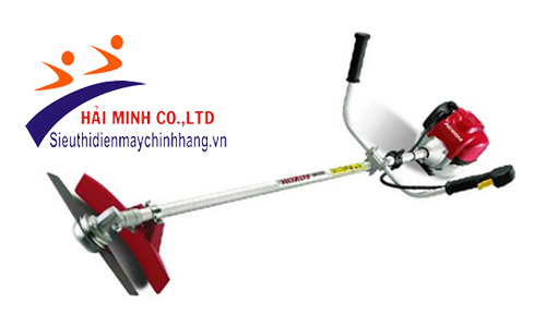 Hướng dẫn vệ sinh bộ lọc máy cắt cỏ
